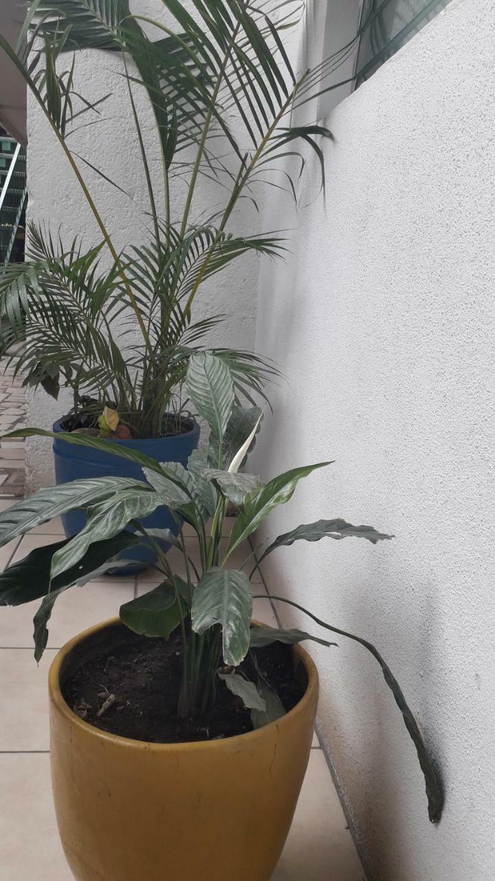 Hostal Familiar Ulua Estelí Buitenkant foto