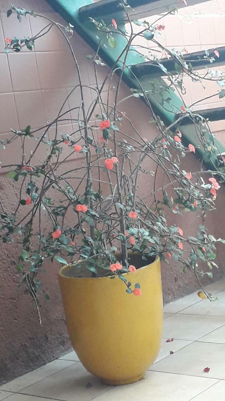 Hostal Familiar Ulua Estelí Buitenkant foto